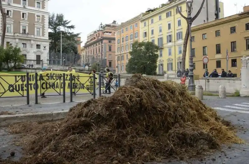 gretini scaricano letame davanti al viminale   3