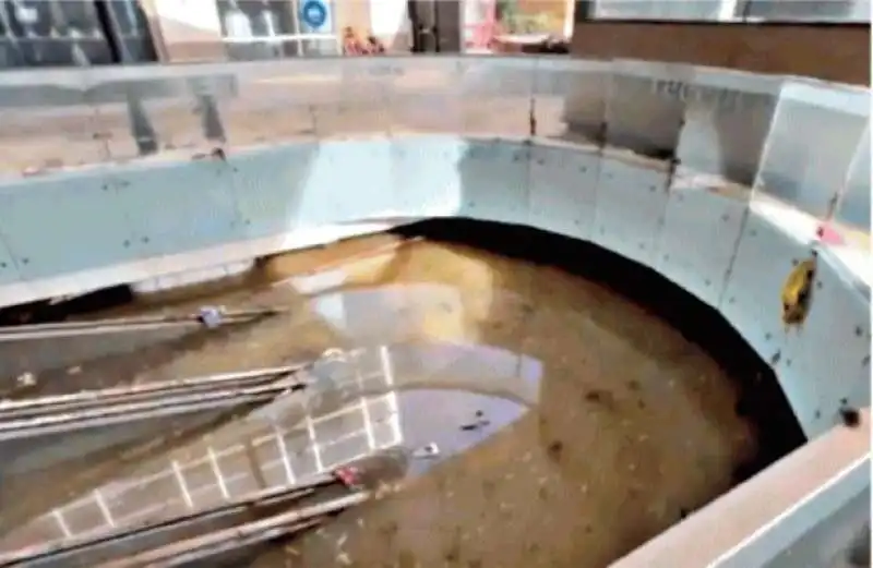 LE SCALE MOBILI DEL CENTRO COMMERCIALE BONAIR DI ALDAIA SOMMERSE DALL ACQUA 