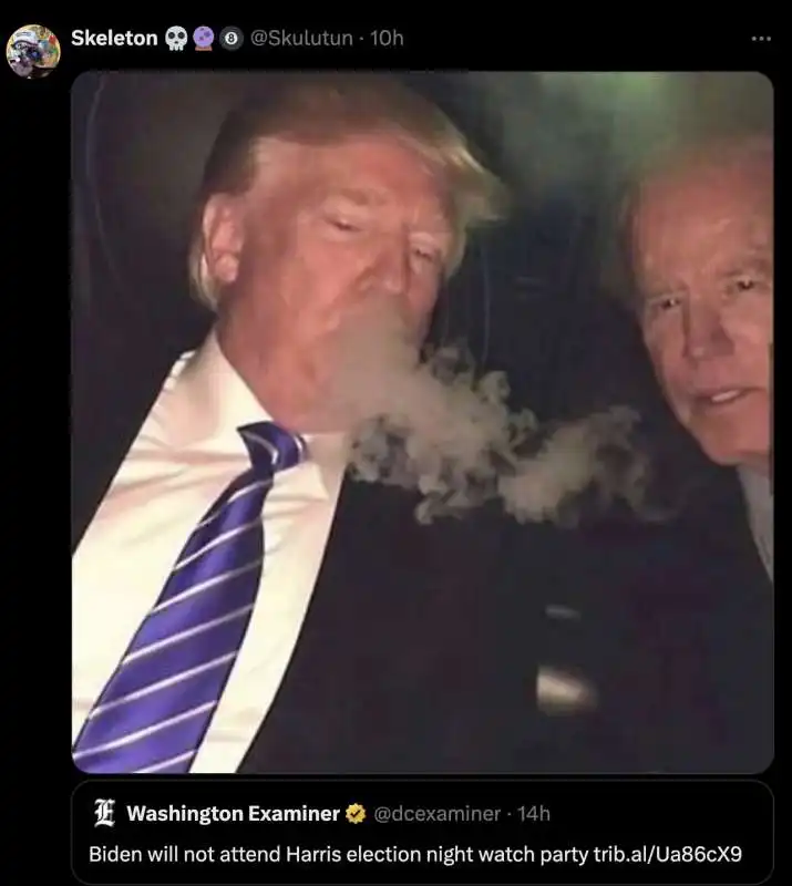 MEME SU BIDEN E TRUMP 