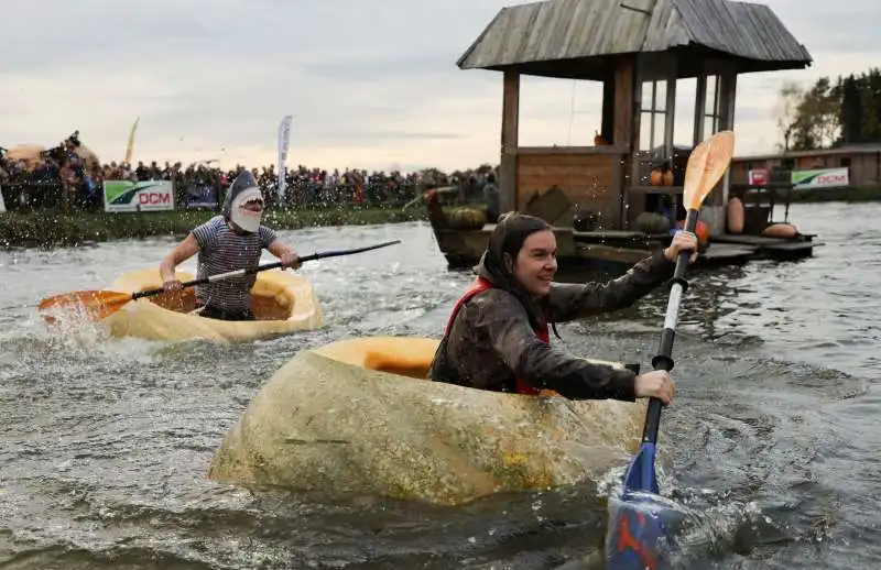 regata di zucche a kasterlee  3