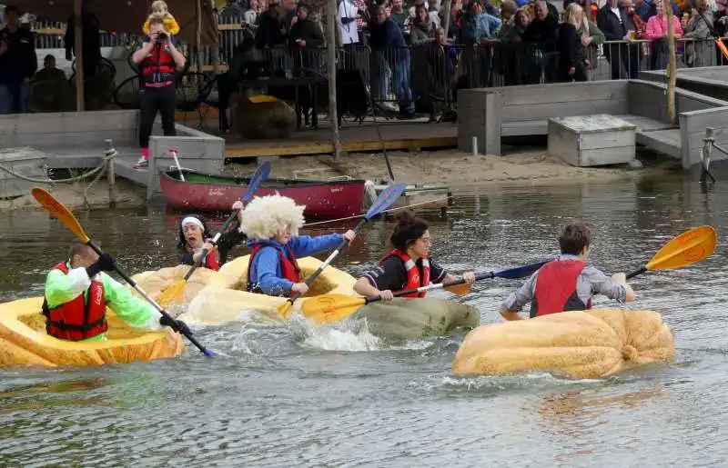 regata di zucche a kasterlee  5