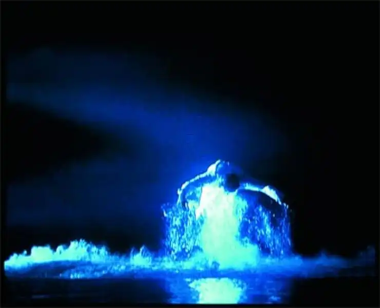 BILL VIOLA 