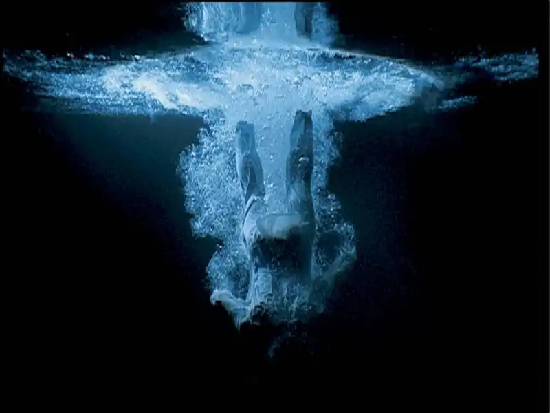 BILL VIOLA 