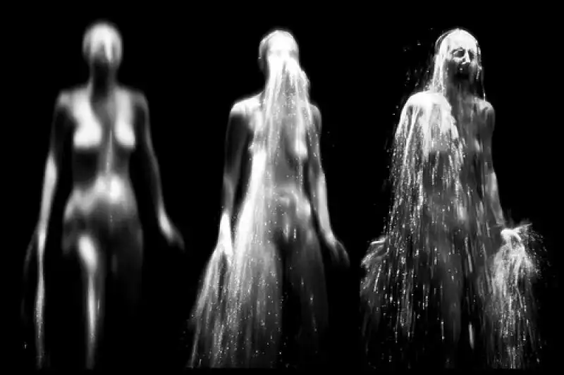 BILL VIOLA 