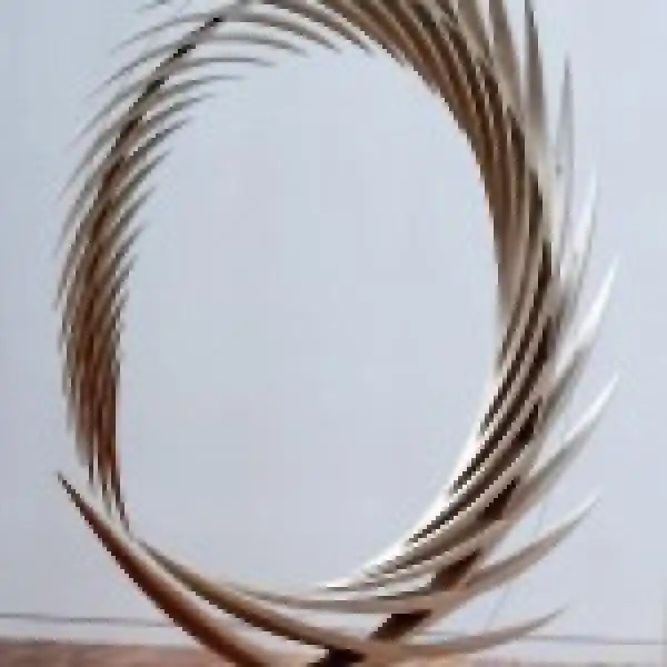 CALATRAVA INFINITE SPIRIT 