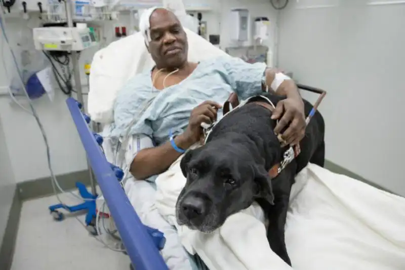 CECIL WILLIAMS E IL LABRADOR ORLANDO 