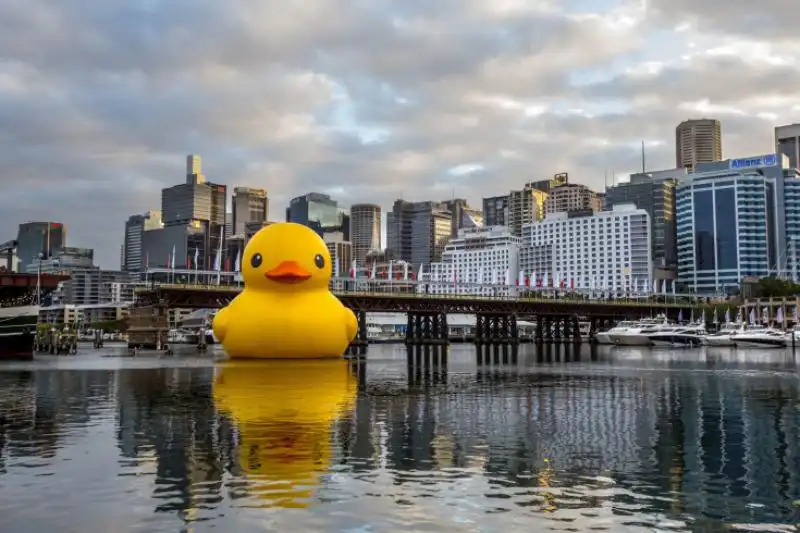 Installazione di Florentijn Hofman in Australia 