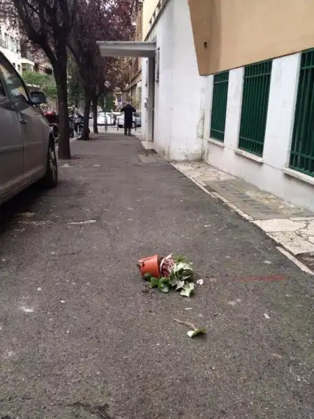 MICHELA ROCCO EVITA IL VASO DAL QUINTO PIANO