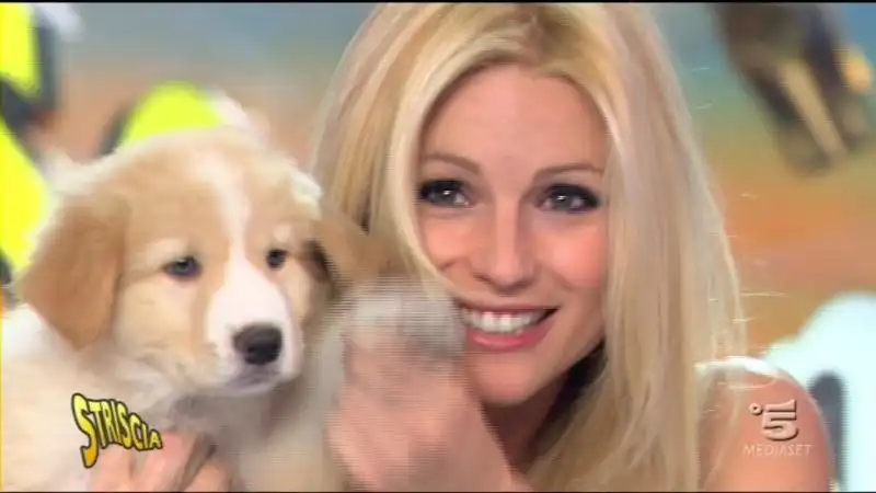 michelle hunziker cane striscia la notizia 