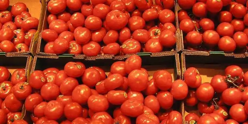 I pomodori provocano acidit e reflusso gastrico 