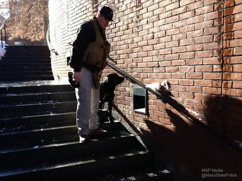 UNIVERSITA DI HARVARD EVACUATA DOPO ALLARME BOMBA 