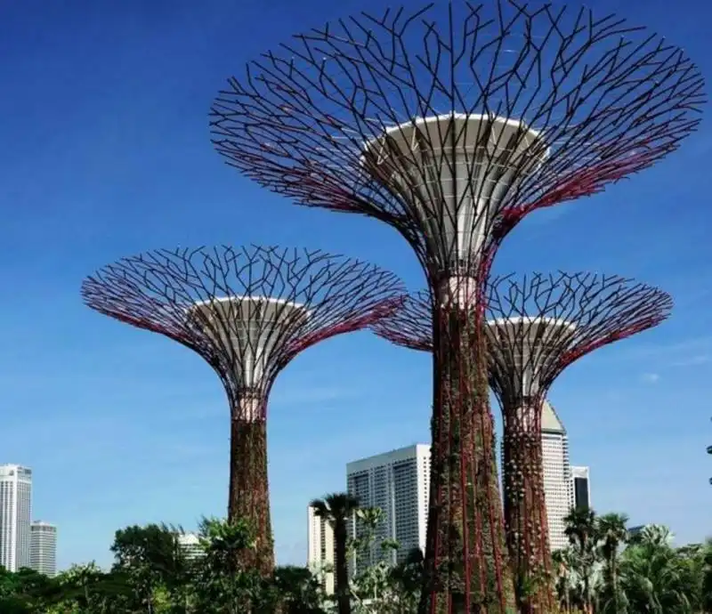 alberi wilkinson singapore