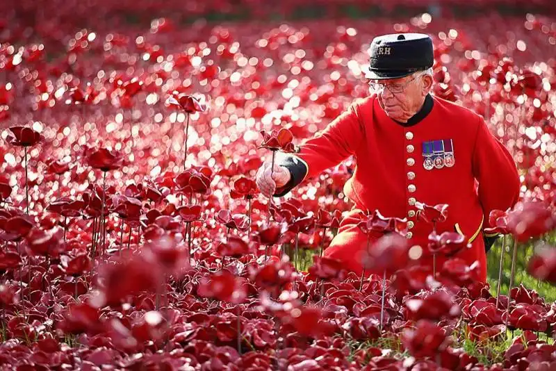 blood swept lands and seas of red art installation at the tower of london