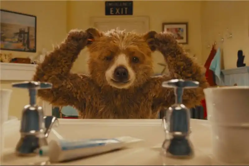 paddington 5