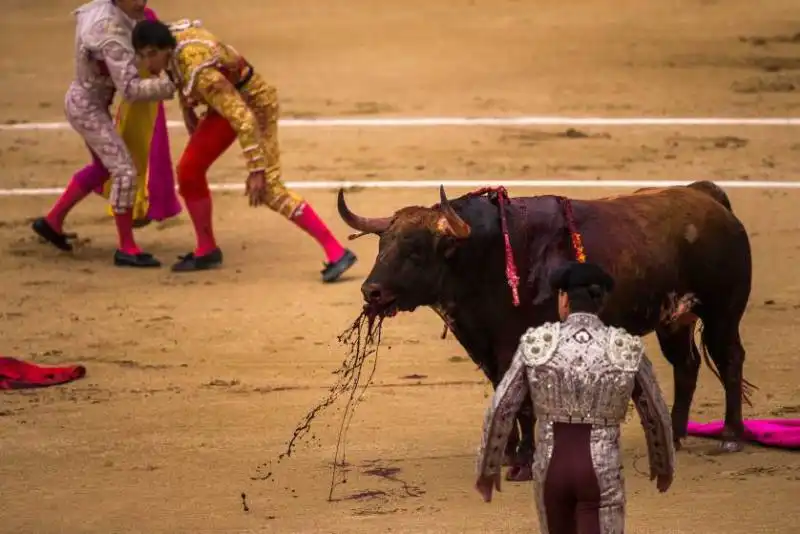 torero in spagna