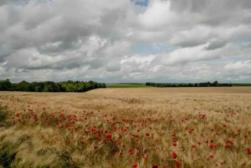 un campo che fu una linea al fronte durante la primaguerra mondiale