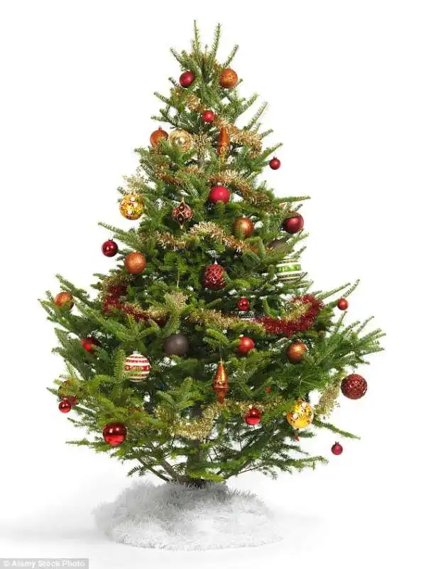 albero di natale