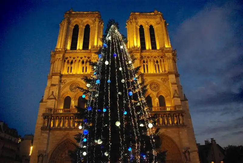 albero di  natale notre dame