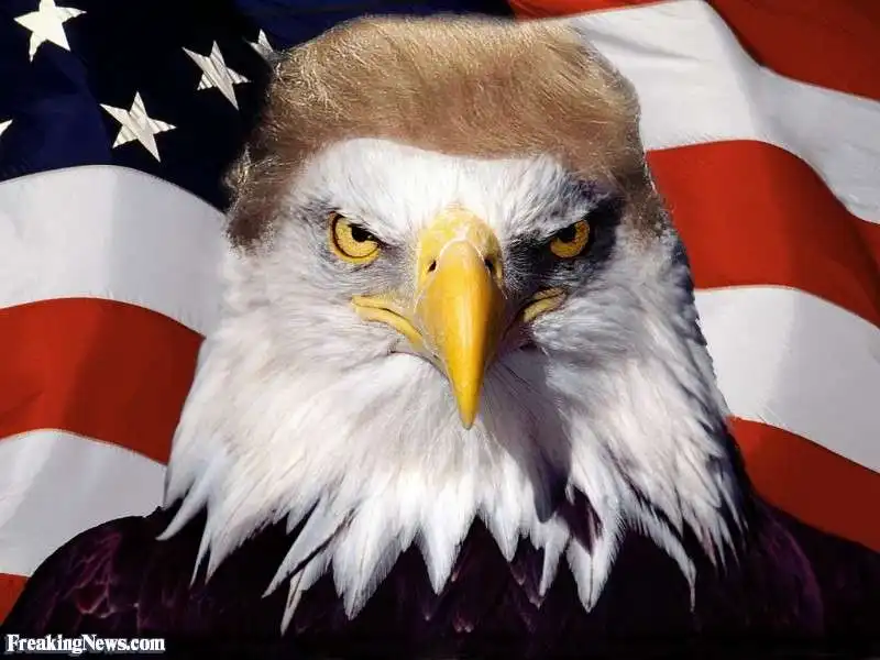 aquila  trump