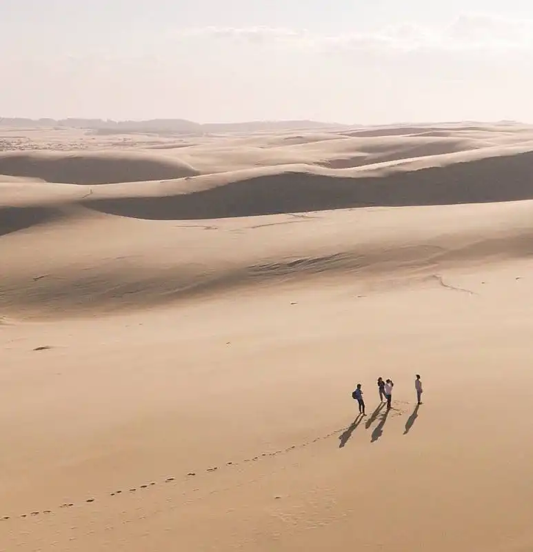 dune del deserto australiano