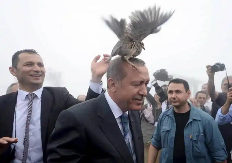 ERDOGAN CON L'UCCELLO IN TESTA