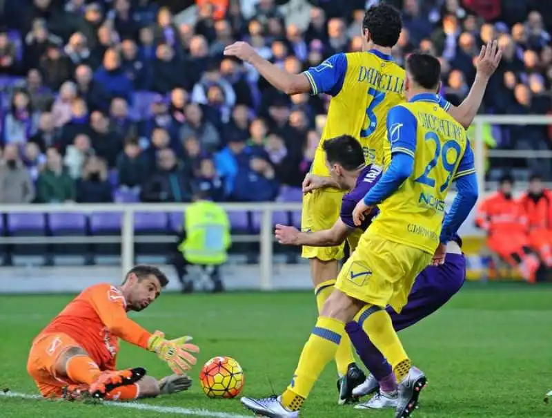 fiorentina   chievo 