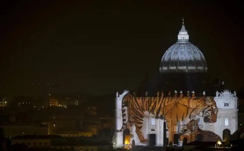 giubileo   giochi di luce a san pietro   11