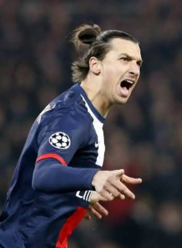 ibrahimovic chignon