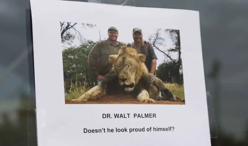 il dentista walter palmer uccide cecil il leone