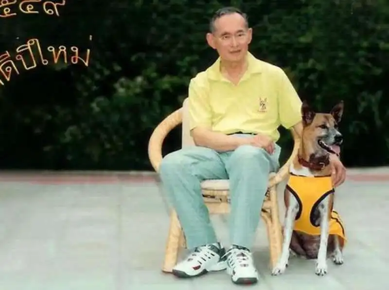 Il re thailandese Bhumibol Adulyadej e il suo cane