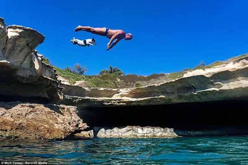 il tuffo di un uomo con il suo cane a malta