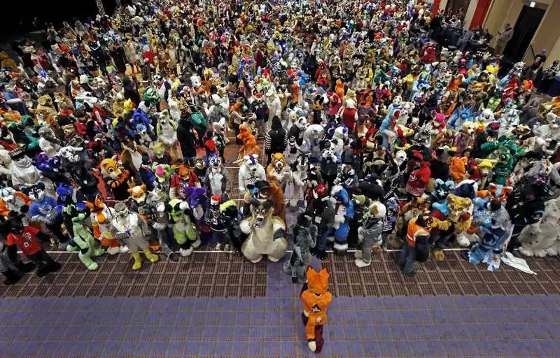 midwest furfest