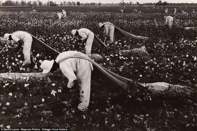 raccoglitori di cotone a ferguson nel 1968