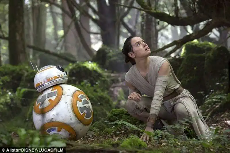 rey e bb 8