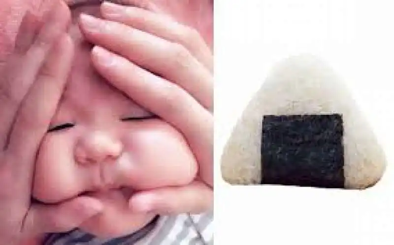 rice ball baby   5