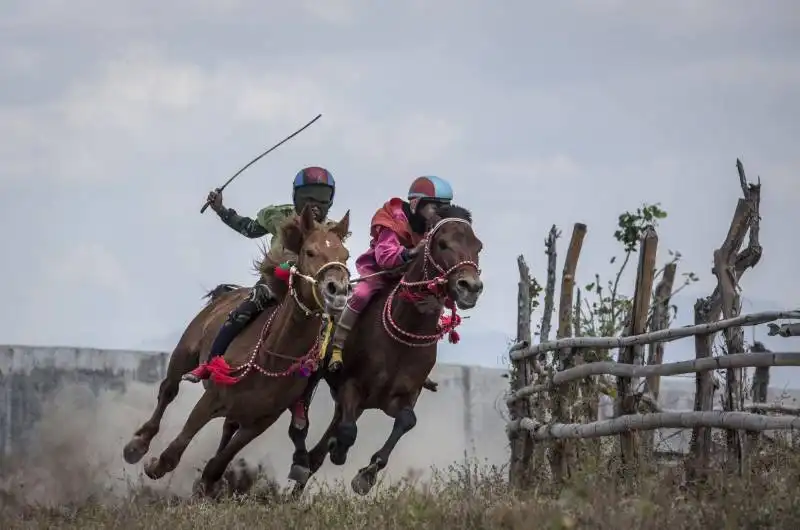 ulet ifansasti fantini bambini durante una corsa di cavallo al moyo festival in indonesia