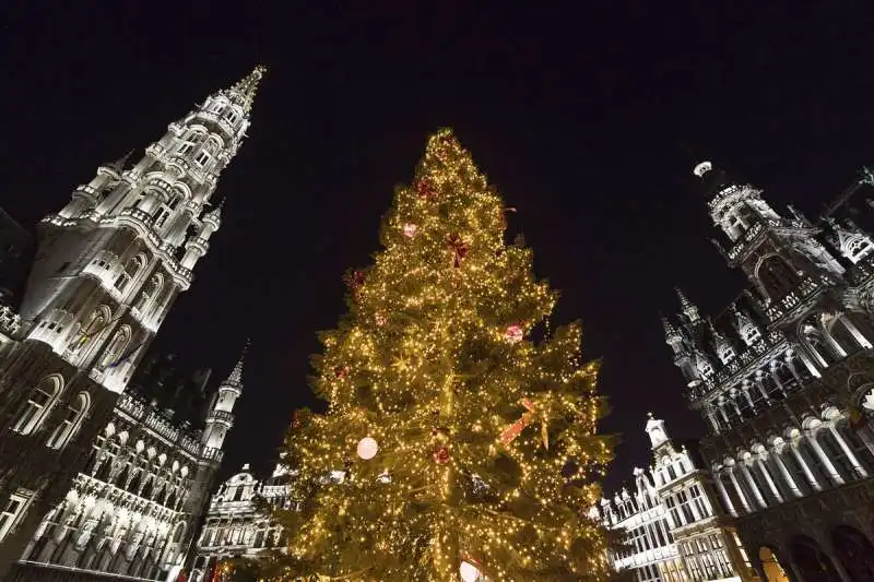 albero di natale a bruxelles