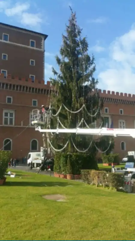 ALBERO PIAZZA VENEZIA