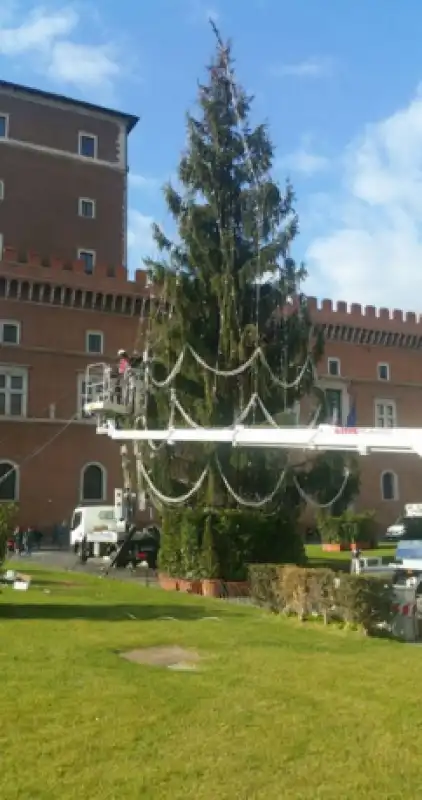 ALBERO PIAZZA VENEZIA