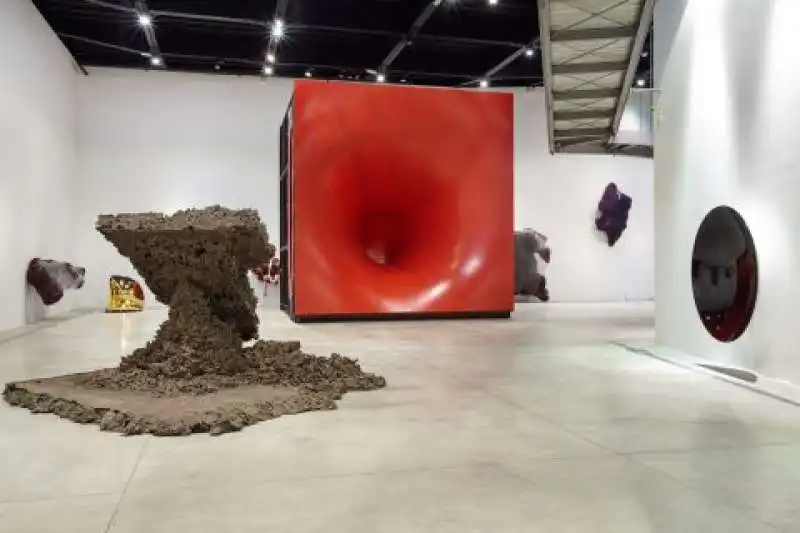 anish kapoor  macro 