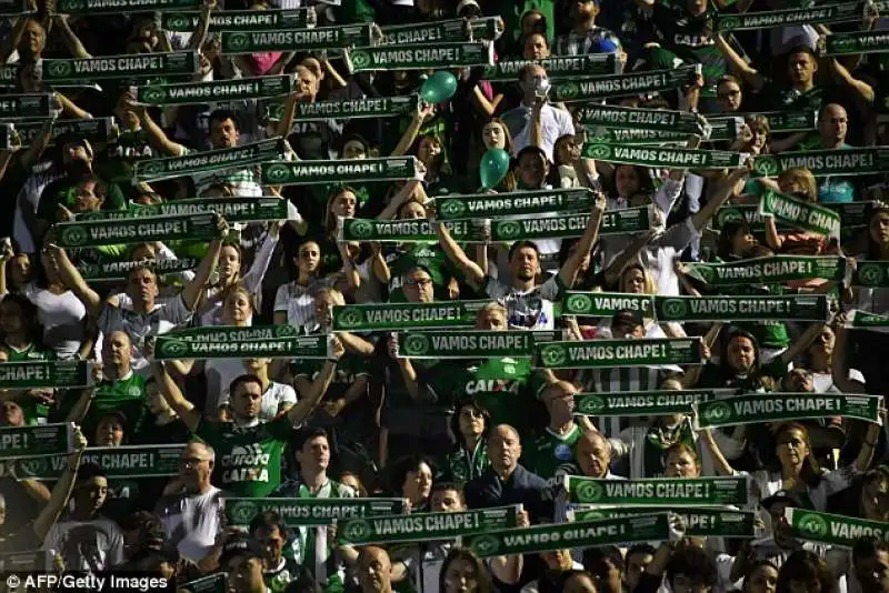 tifosi chapecoense