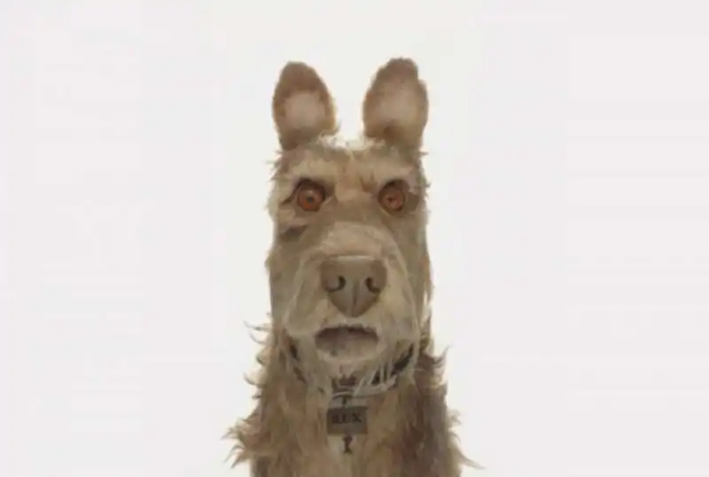 wes anderson isle of dogs