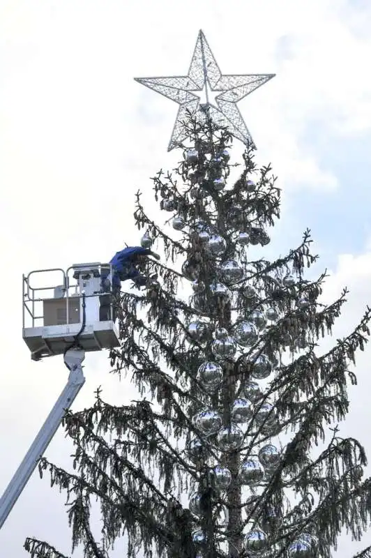 albero piazza venezia 25