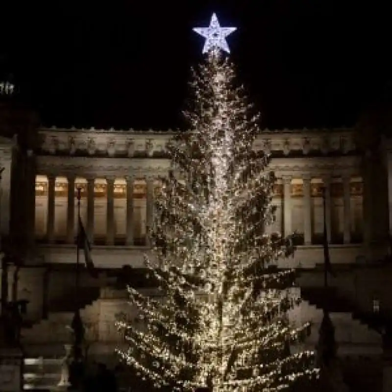 albero piazza venezia