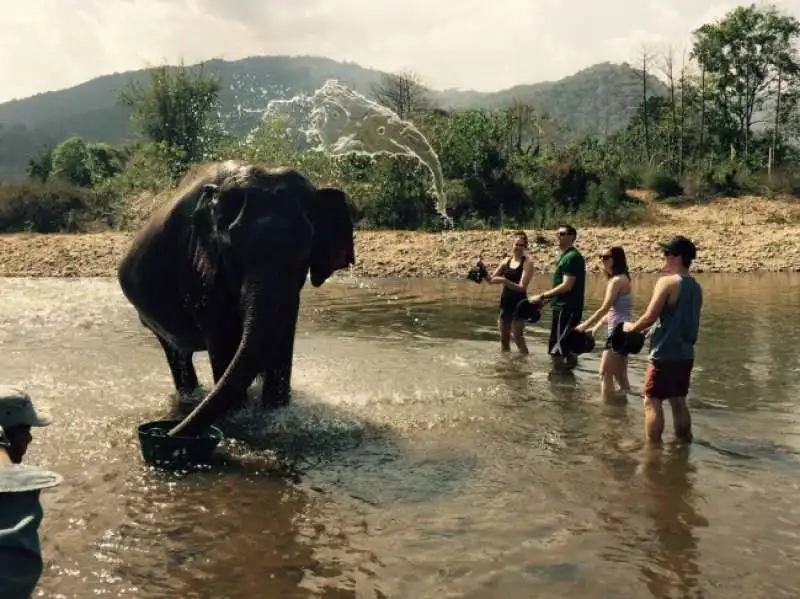 anche l acqua sembra un elefante