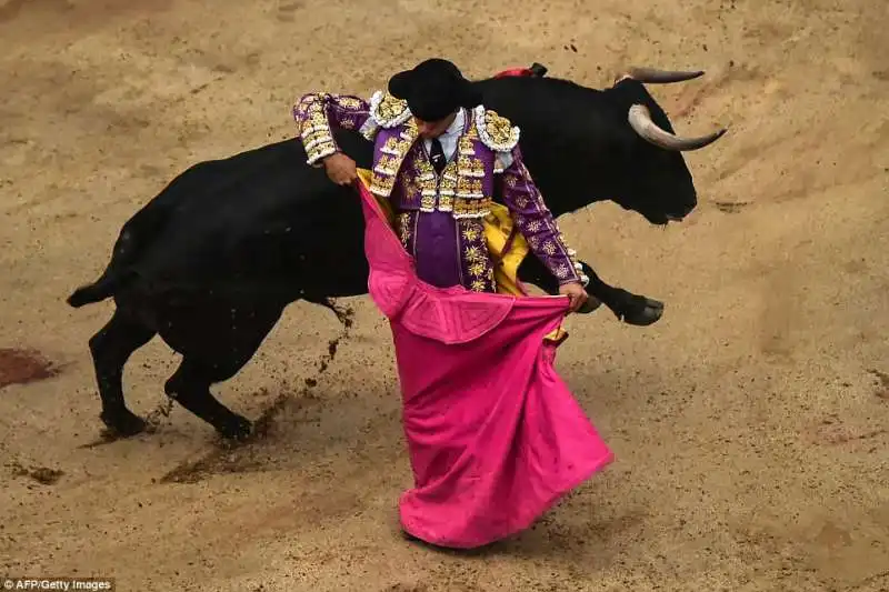 enrique colombo e il toro