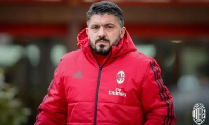 gattuso