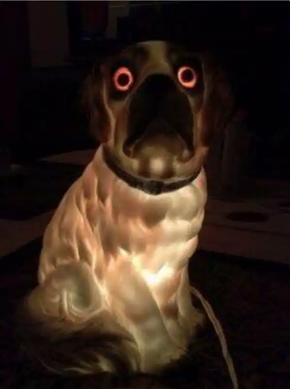 lampada a forma di cane