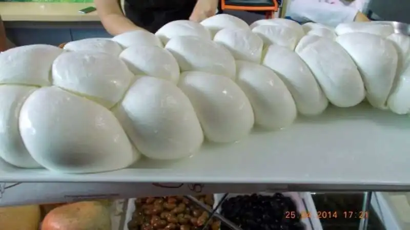 MOZZARELLA DI GIOIA DEL COLLE