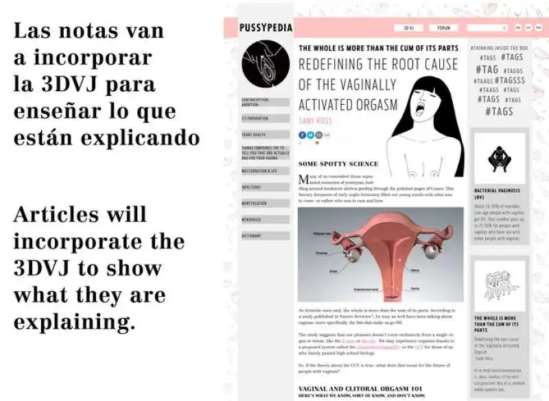 pussypedia consigli orgasmo